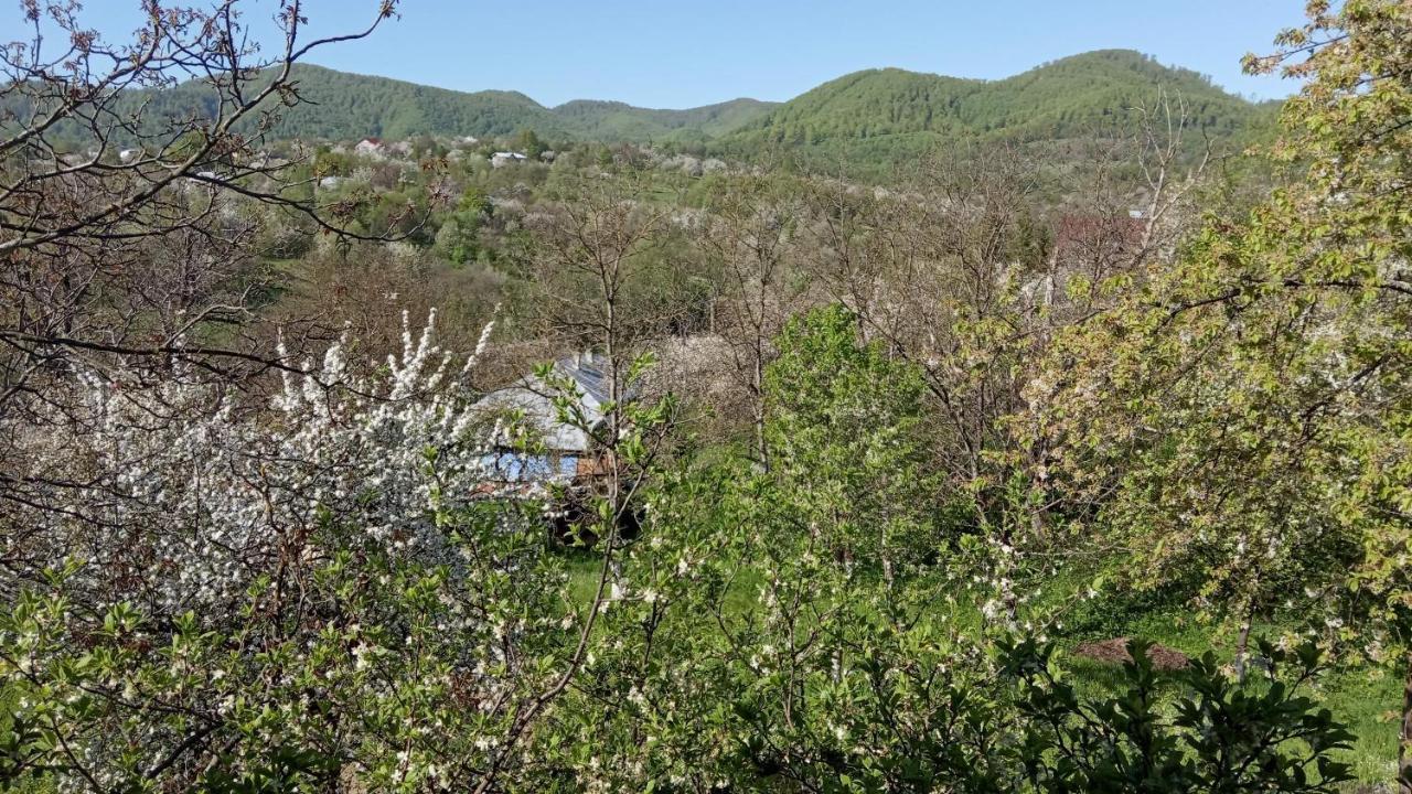 Bat'Kivska Hata Stari Kuty Esterno foto