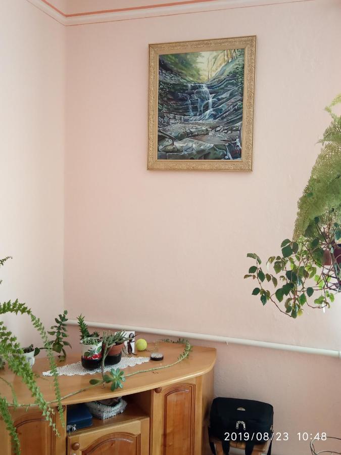 Bat'Kivska Hata Stari Kuty Esterno foto
