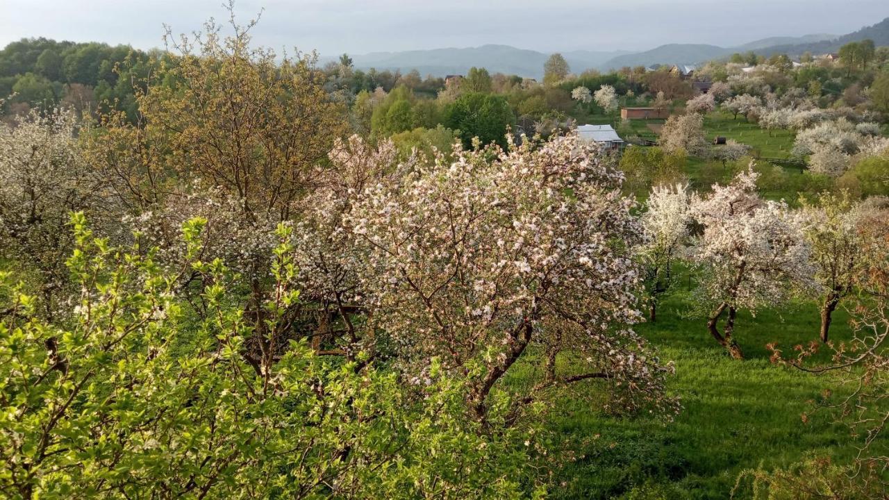 Bat'Kivska Hata Stari Kuty Esterno foto