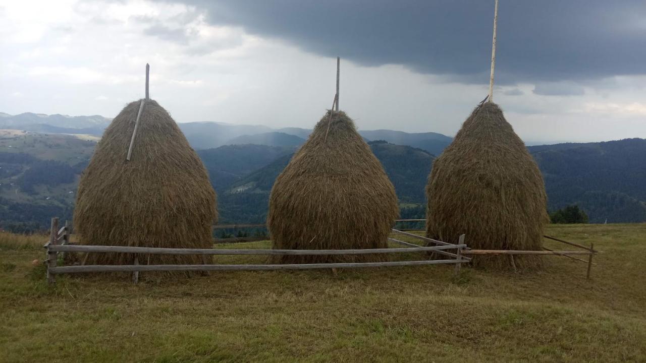 Bat'Kivska Hata Stari Kuty Esterno foto