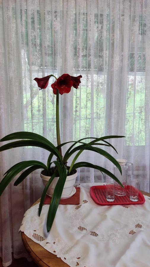 Bat'Kivska Hata Stari Kuty Esterno foto